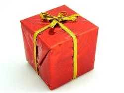 Julegaveindk�bene er p� sit h�jeste - vi giver her vores forslag til julegaven til campisten.