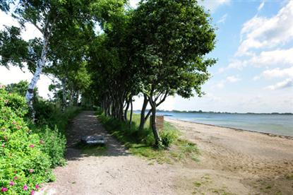 Gammelbro Camping: Pladsen ligger klods op af egenens bedste badestrand, og har eget b�despil.